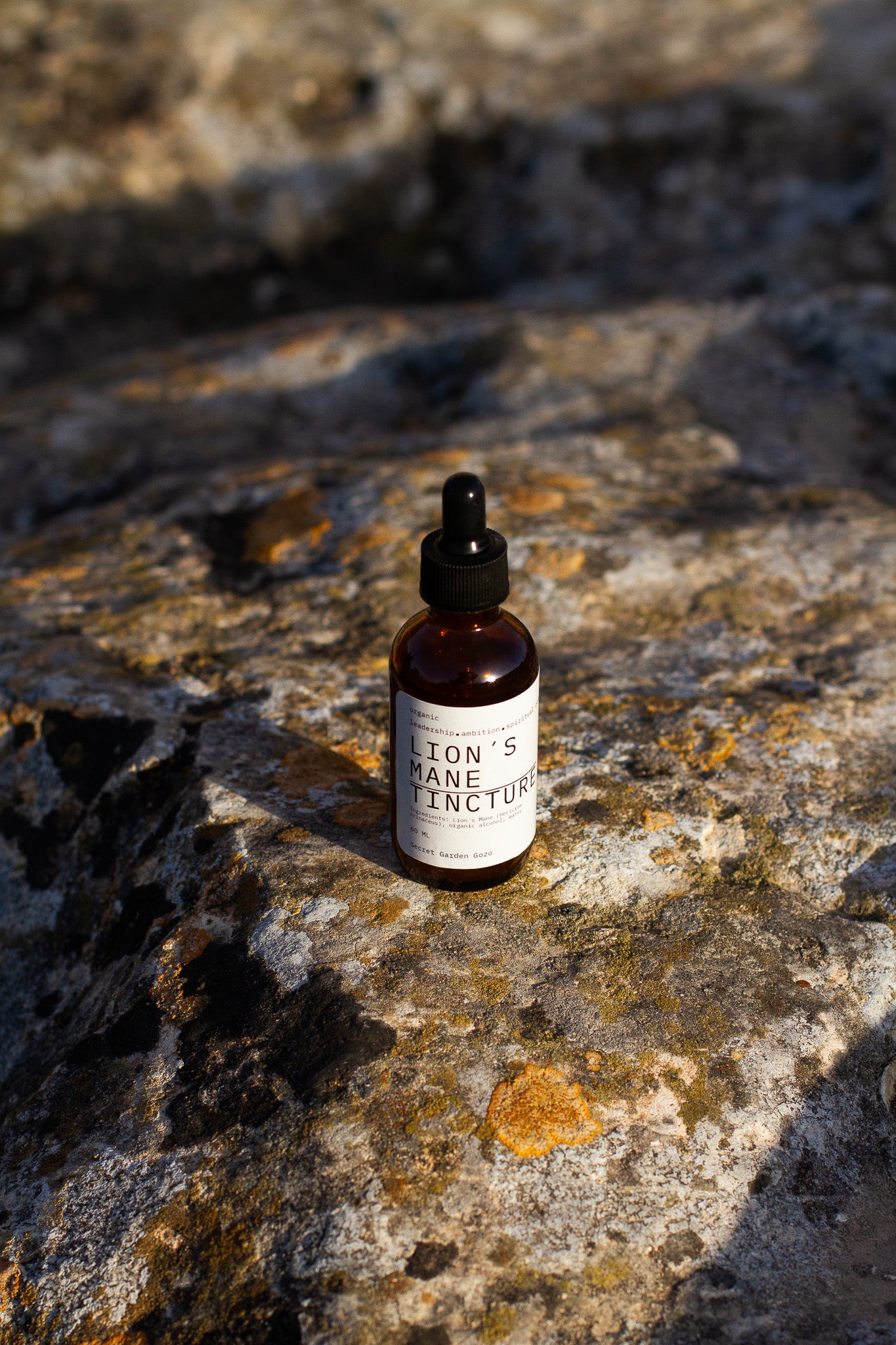 Lion´s Mane tincture (brain health, cognitive function, energy, stress, fatigue, mental health)