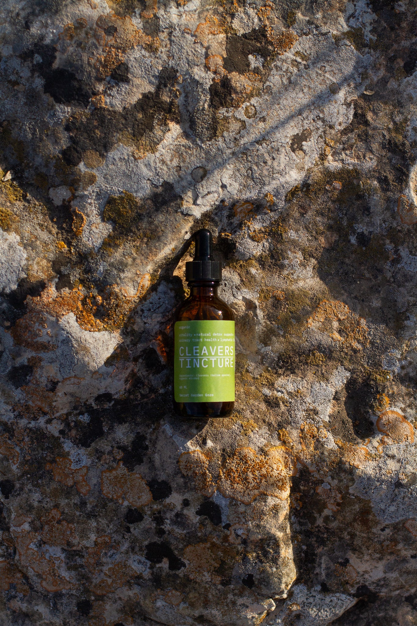Cleavers tincture (lymphatic health, natural detoxification support, skin health)