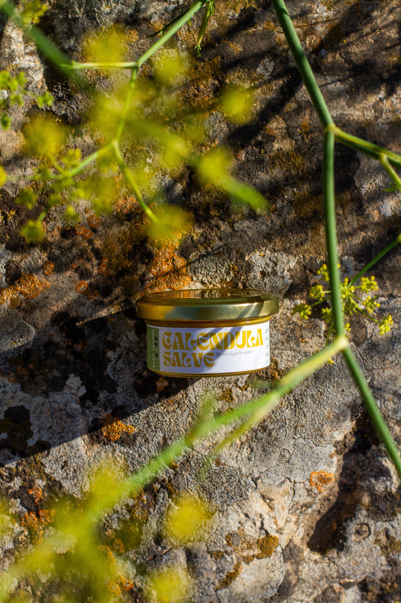 Organic Calendula salve