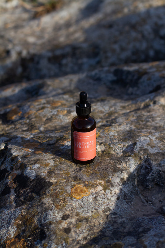 Hawthorn tincture (heart tonic, cardiovascular health, circulation, emotional well-being, longevity, anxiety support)