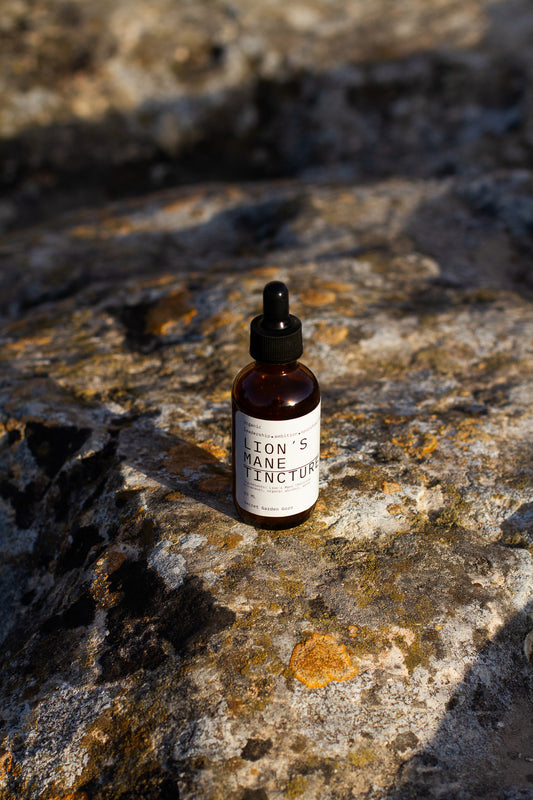 Lion´s Mane tincture (brain health, cognitive function, energy, stress, fatigue, mental health)