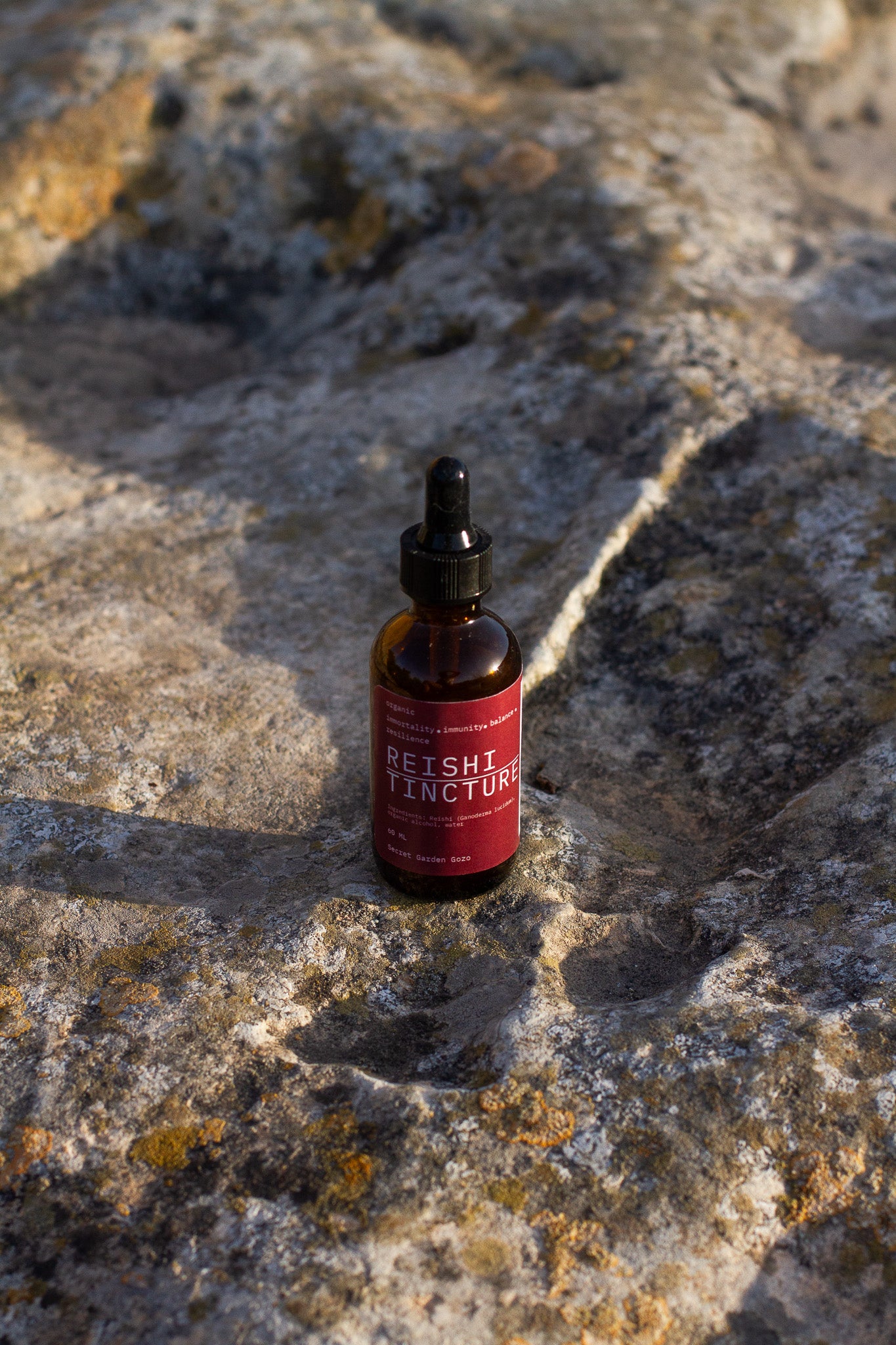 Reishi tincture (immunity, strength, stamina, sleep, stress, fatigue, depression, anxiety)