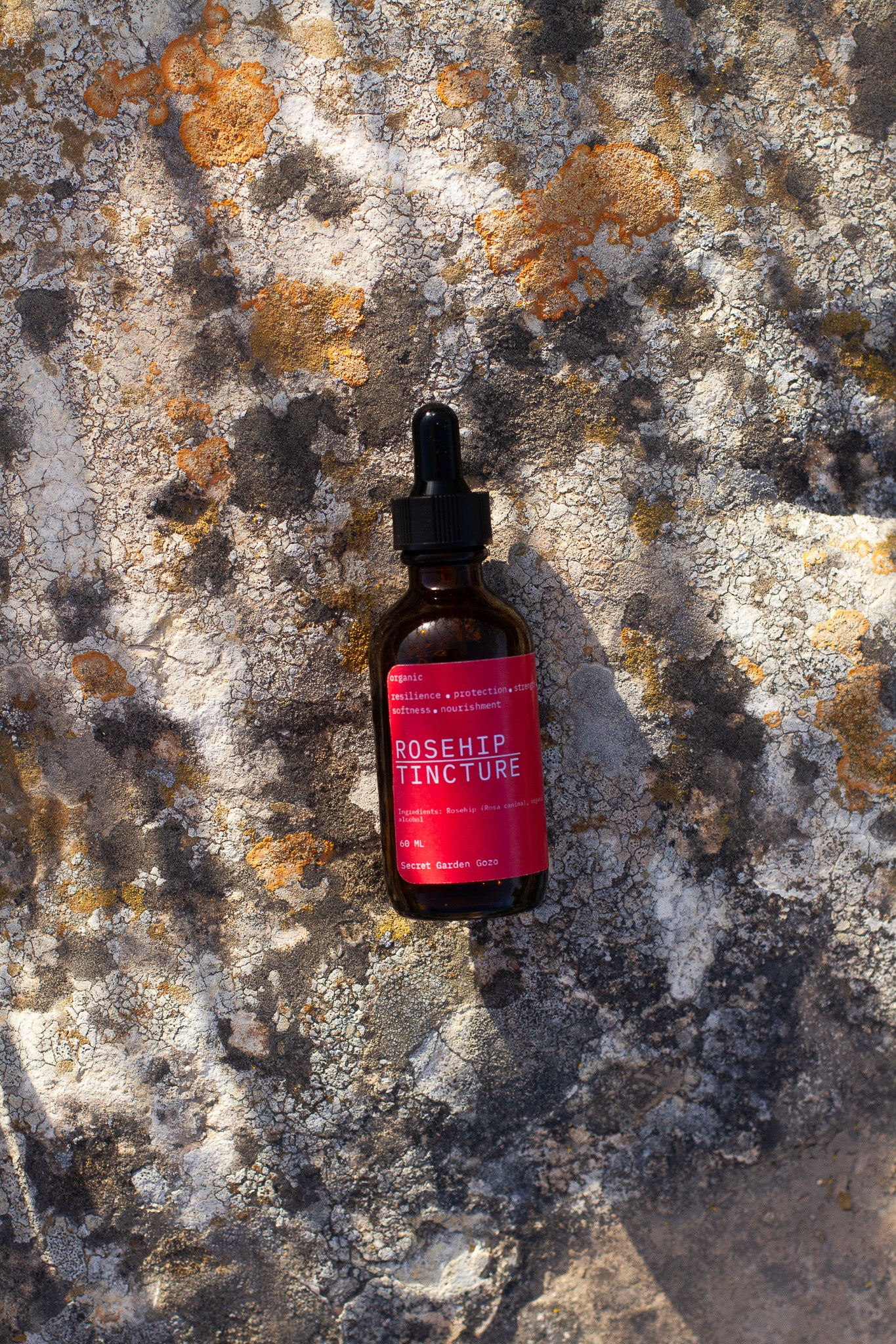 Rosehip tincture (rich in vit C & antioxidants, cardiovascular & kidney support, immune system boost, digestion)
