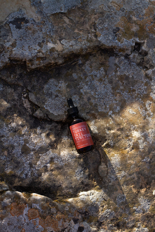 Turkey tail tincture (immunity, energy, vitality, gut health)