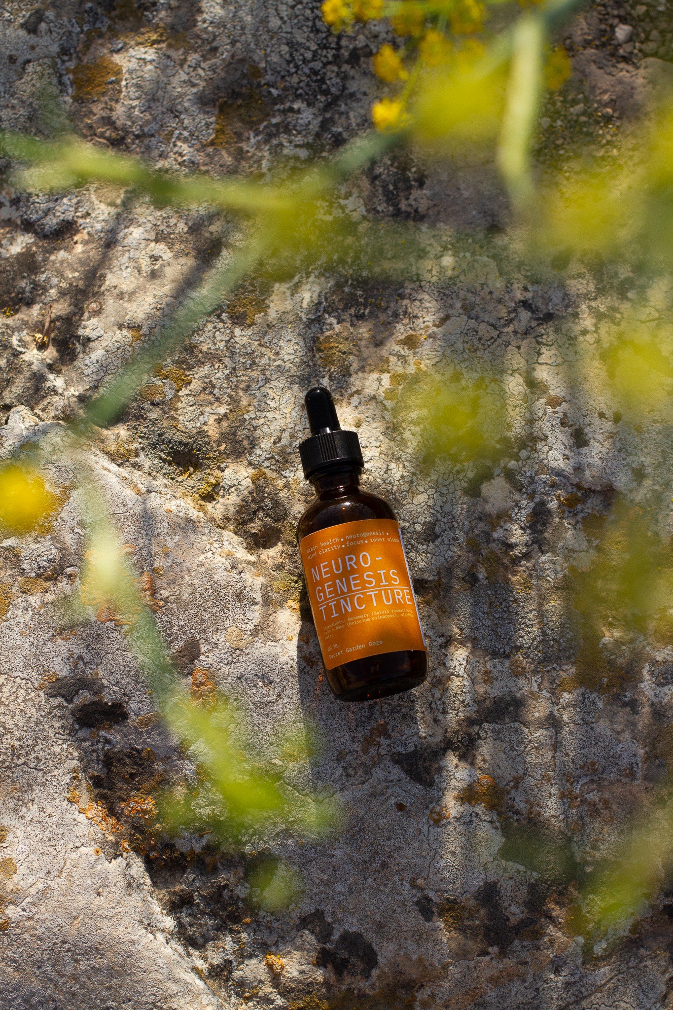 Neurogenesis tincture (memory, focus, brain health, ADHD, immunity, mood & mental health)
