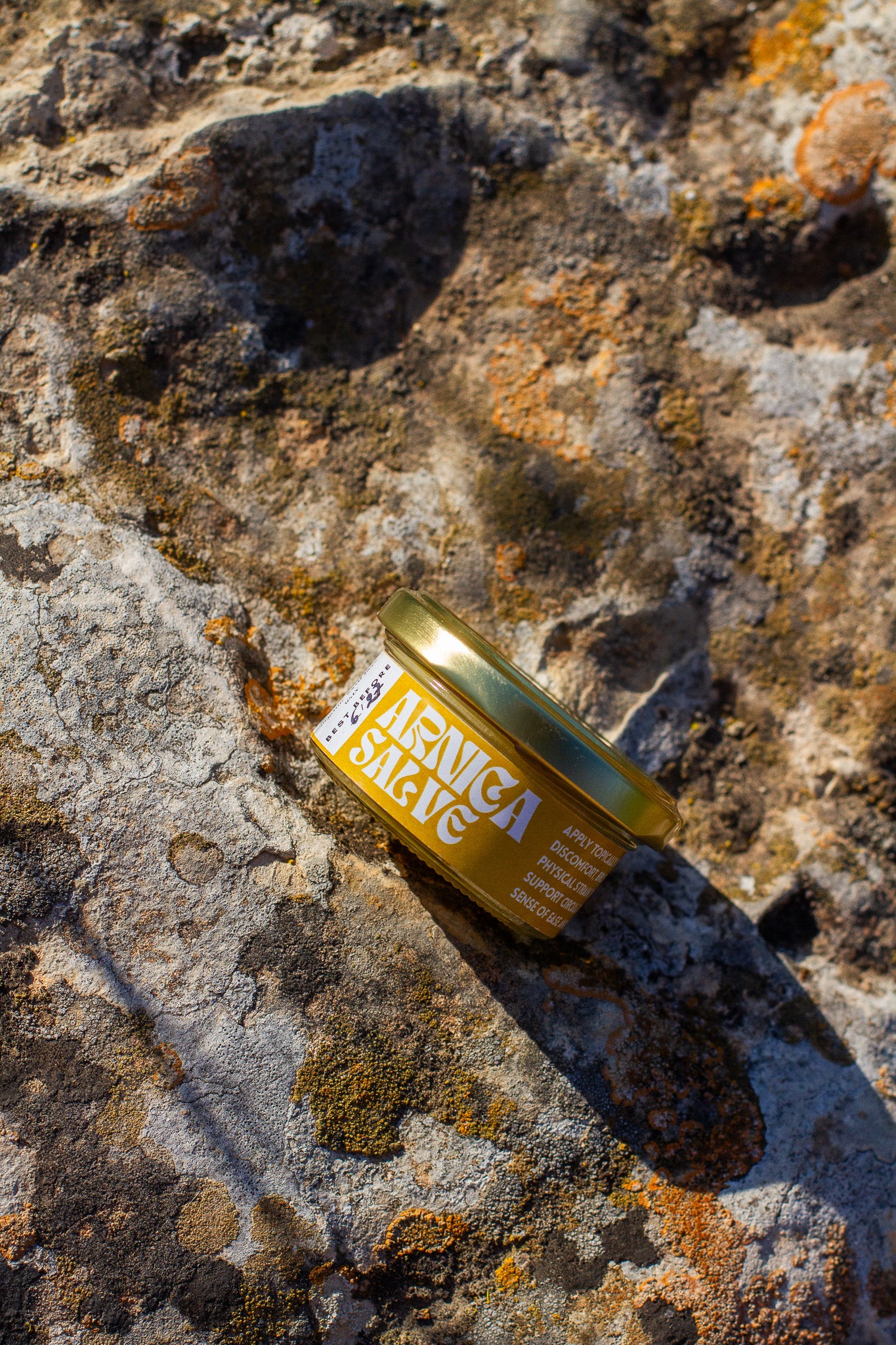 Organic Arnica salve