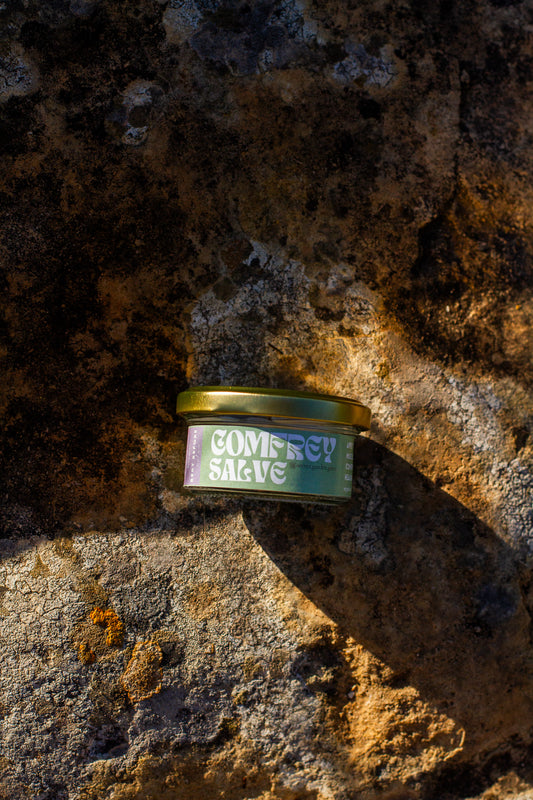 Organic Comfrey salve