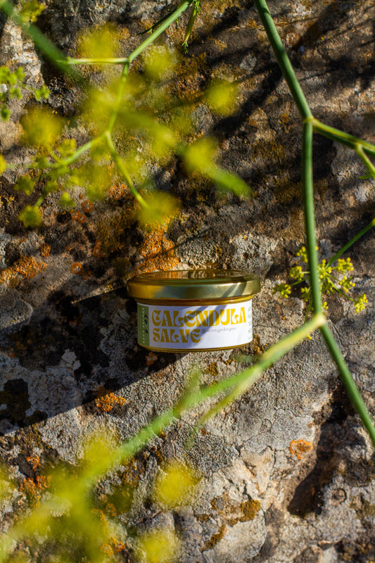 Organic Calendula salve