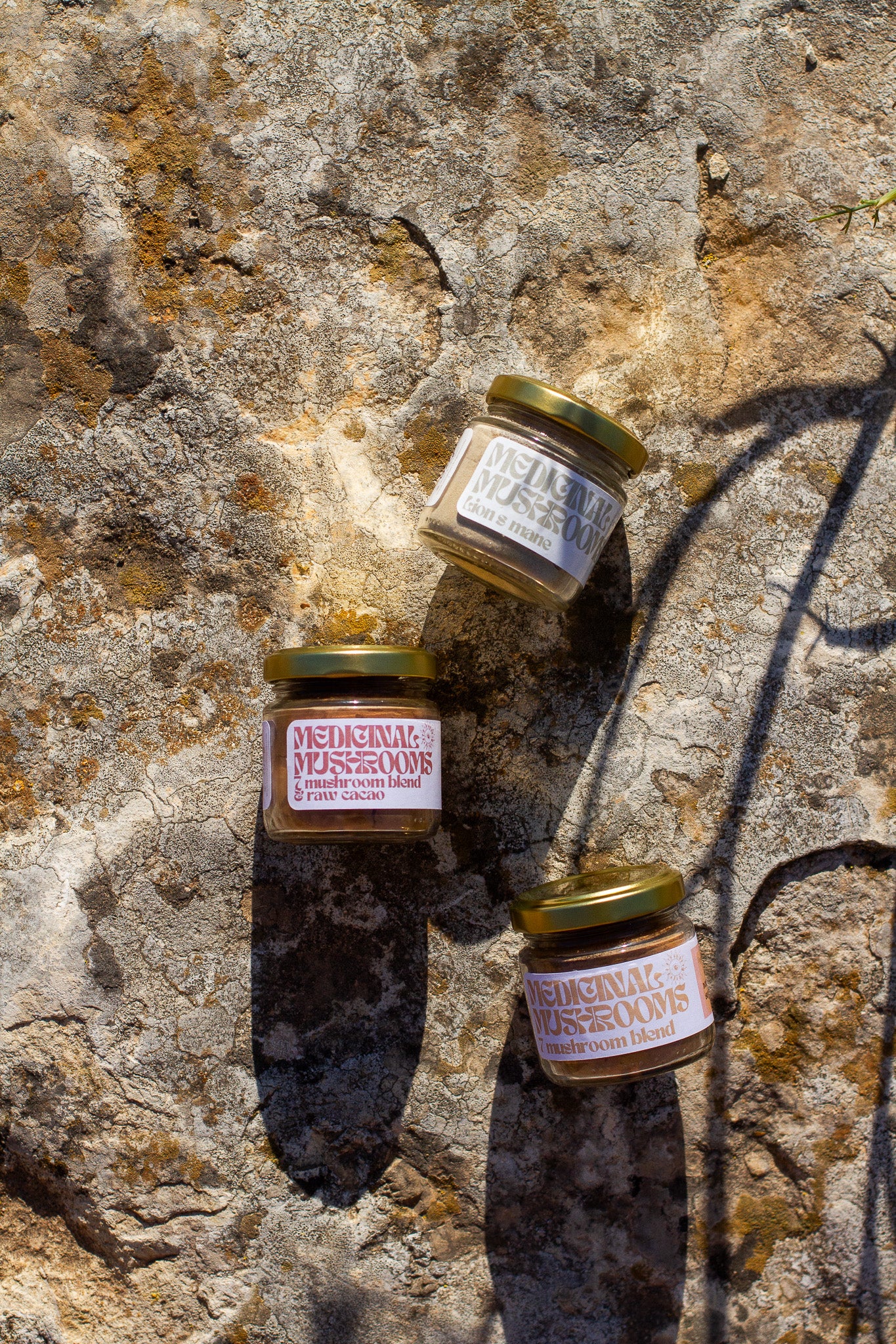 Medicinal Mushroom Powders